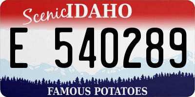 ID license plate E540289