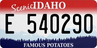 ID license plate E540290