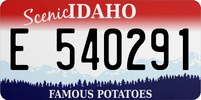 ID license plate E540291