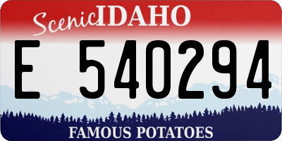 ID license plate E540294