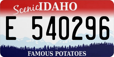 ID license plate E540296
