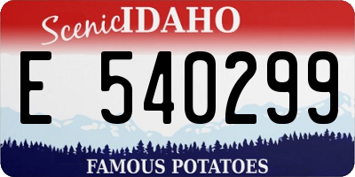 ID license plate E540299