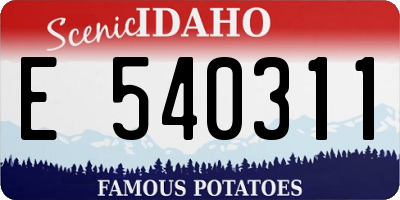 ID license plate E540311