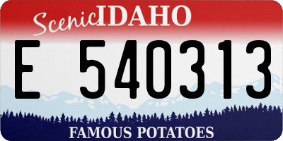 ID license plate E540313