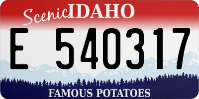 ID license plate E540317