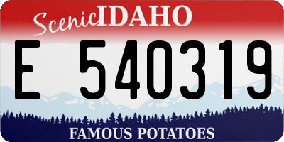 ID license plate E540319