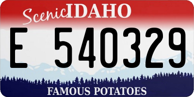 ID license plate E540329