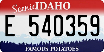 ID license plate E540359