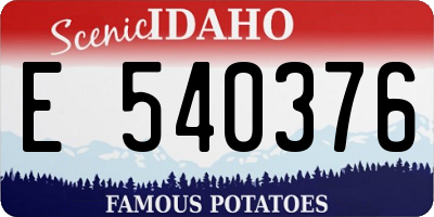 ID license plate E540376