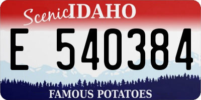 ID license plate E540384