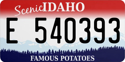 ID license plate E540393