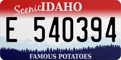 ID license plate E540394