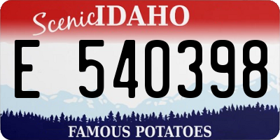 ID license plate E540398
