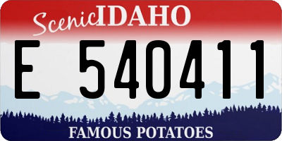 ID license plate E540411