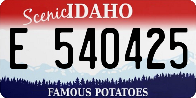 ID license plate E540425