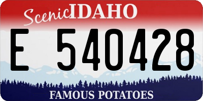 ID license plate E540428