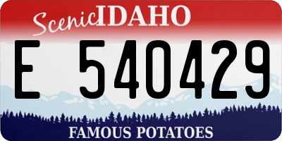 ID license plate E540429