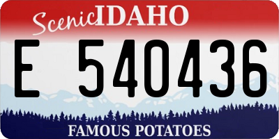 ID license plate E540436