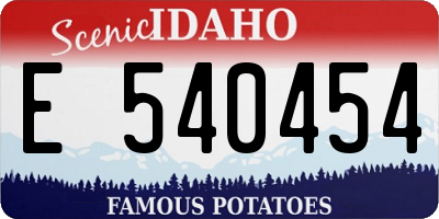 ID license plate E540454