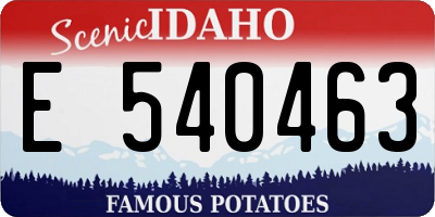 ID license plate E540463
