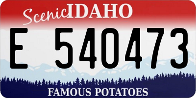 ID license plate E540473