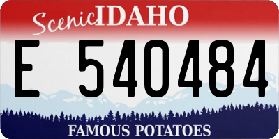 ID license plate E540484