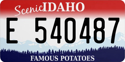 ID license plate E540487