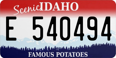 ID license plate E540494
