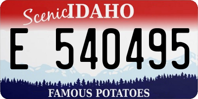 ID license plate E540495