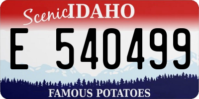 ID license plate E540499