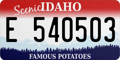 ID license plate E540503