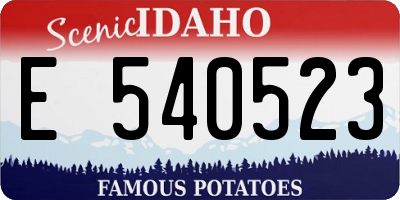 ID license plate E540523
