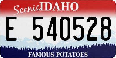 ID license plate E540528