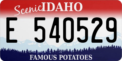 ID license plate E540529