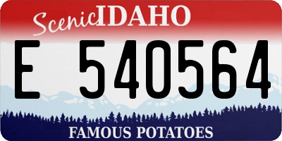 ID license plate E540564