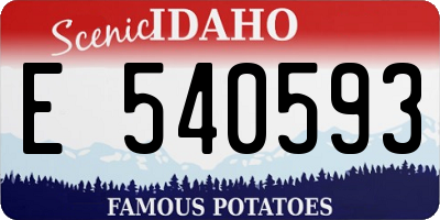 ID license plate E540593