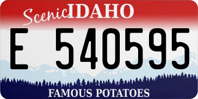 ID license plate E540595