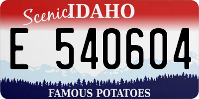 ID license plate E540604