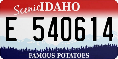 ID license plate E540614