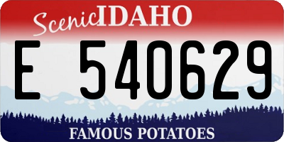 ID license plate E540629