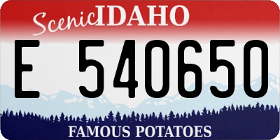 ID license plate E540650