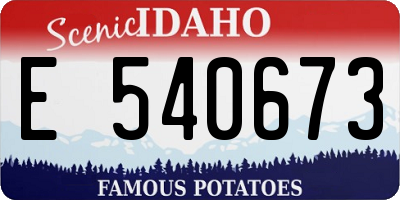 ID license plate E540673