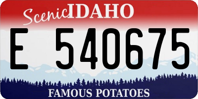 ID license plate E540675