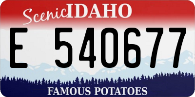 ID license plate E540677