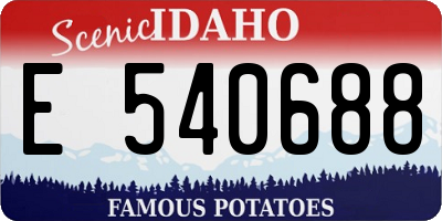 ID license plate E540688