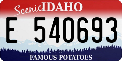 ID license plate E540693