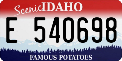 ID license plate E540698
