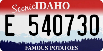 ID license plate E540730