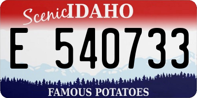 ID license plate E540733