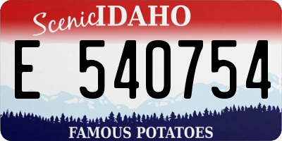 ID license plate E540754